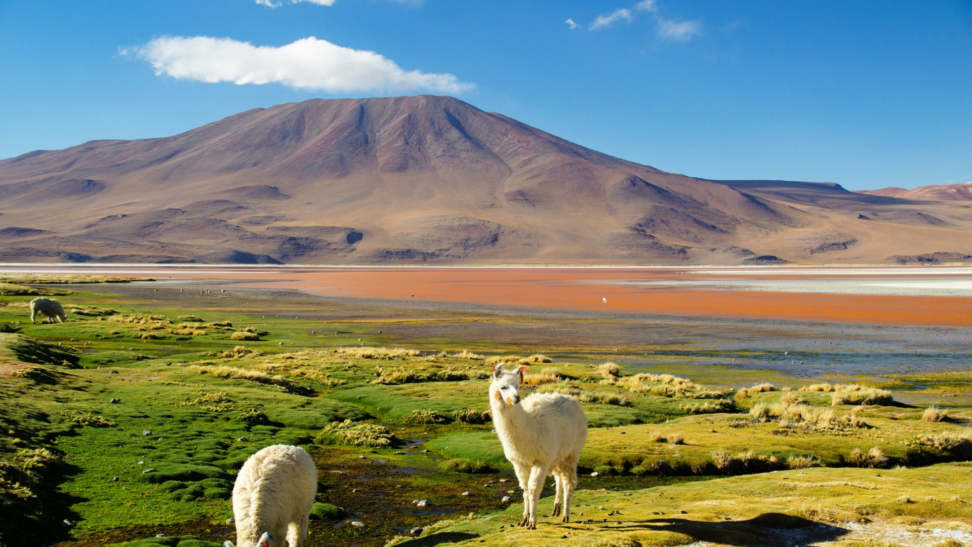 Geheimnisvolle Anden